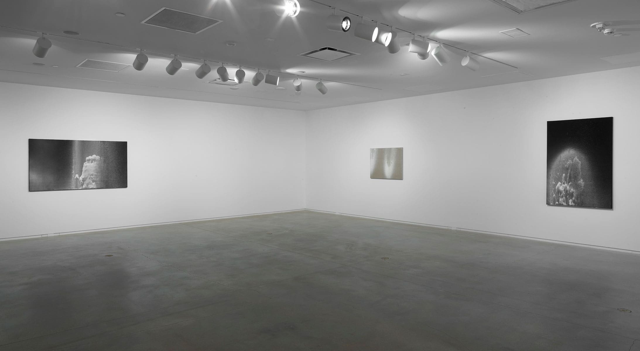 AmieSiegel-Blaffer-6.jpg